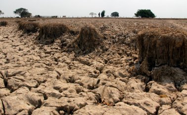 La comunidad internacional fijó en 2009 limitar el alza del termómetro mundial, sin lo cual la ciencia asegura que se producirán daños graves e irreversibles.
AFP