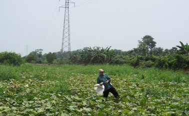 Palmarito y buena esperanza serán las nuevas zonas de restitución de tierras. Cortesía