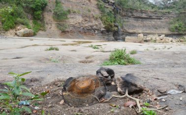 Las autoridades aseguran que la desocupación de las zonas de reserva solo se puede hacer con la fuerza pública. Archivo