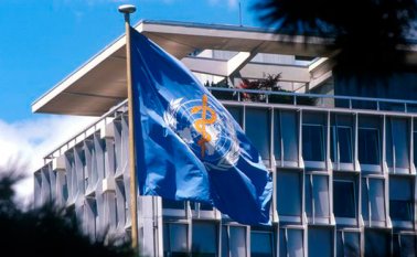 Una de las cadenas de transmisión de la enfermedad está siendo manejada de manera individual. Internet