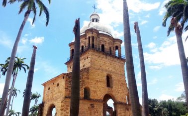 Además de la falta de riego se han observado graffitis en las palmas, situación que da cabida al ataque de plagas y enfermedades a las mismas. Mario Caicedo
