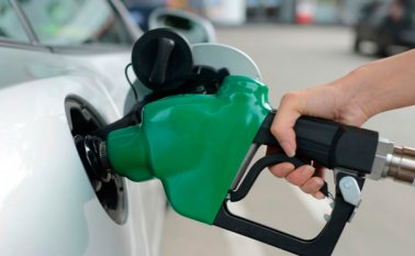 Los vecinos de un sector de Ureña se dieron cuenta del origen del hedor. Internet