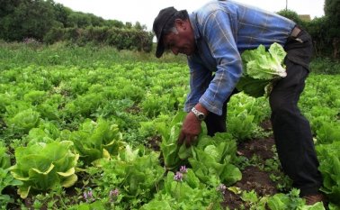 Agricultor. Internet