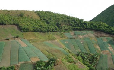 Buscarán proteger las zonas agrícolas más expuestas al fenómeno de El Niño. Archivo