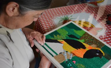 A sus 62 años, alicia vera es un ejemplo de perseverancia y talento para los adultos mayores de Pamplona. Roberto Ospino