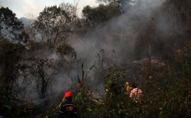 Según la Unidad Nacional para la Gestión del Riesgo de Desastres, hay 42 focos activos. Colprensa