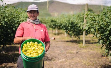 Ministerio de Agricultura