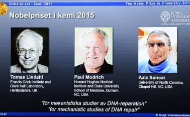 Estos son los ganadores del Premio Nobel de Química. AFP