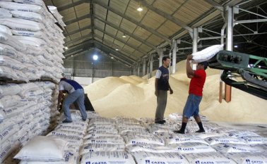 La sanción de la Superintendencia de Industria y Comercio a las azucareras podría generar la quiebra de algunos ingenios azucareros y el despido de personal. Archivo