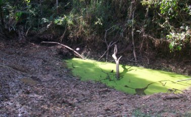 Así permanecen los reservorios de agua que actualmente existen. Daicy Echeverri