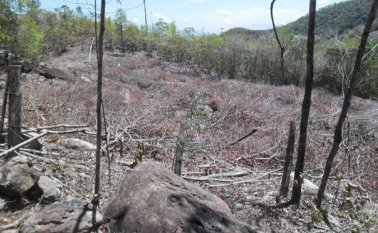 La falta de lluvias en esta región tiene en máxima alerta a las autoridades locales, pues nunca se había presentado una emergencia como la actual sequía. Alcaldía de Durania