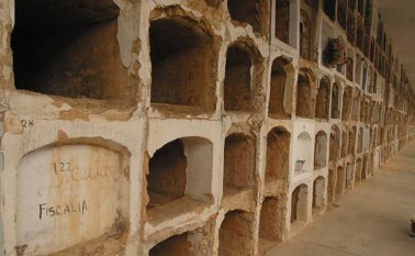 Cementerio. Colprensa