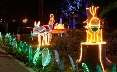 "La gente debe tomar conciencia del momento que estamos viviendo", expresó Alberto Rangel Becerra, gerente de Centrales Eléctricas de Norte de Santander (Cens). Archivo