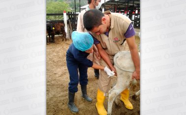 En la granja se habilitaron varias carpas para dar a conocer los servicios. Daicy Echeverri