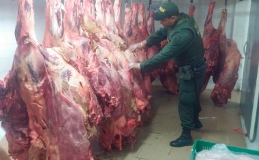 Los contrabandistas, que iban vigilados por algunos motorizados, dispararon contra los policías. Policía Nacional