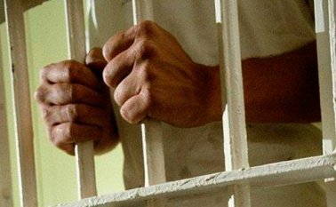 Los internautas creen que el indulto es una burla a la justicia y a las víctimas de las Farc. Internet