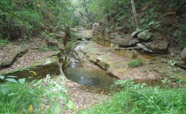 La finca los caballos, en San José de la Vega, es solo uno de los predios rurales que tiene invadidos Cúcuta.   Archivo
