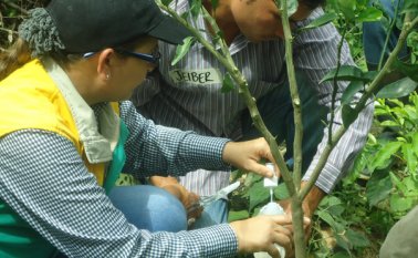 Tres proyectos de asistencia técnica rural impulsarán el desarrollo del campo en la provincia de Ocaña. Daicy Echeverri
