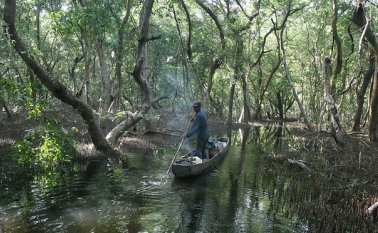 Ciénaga Grande de Santa Marta (Magdalena). Colprensa