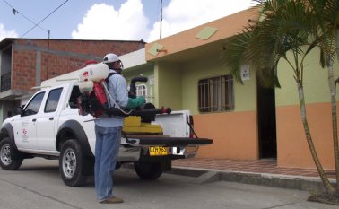 Aplique insecticidas como Raid y Baygon después de limpiar la casa y durante las tardes cuando más salen los mosquitos.