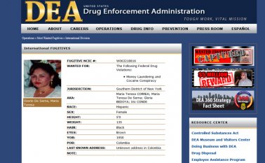 Captura del portal de la DEA