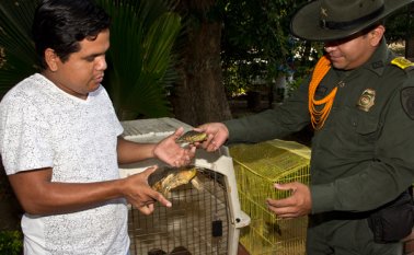 La campaña ‘Tu casa no es mi casa’, liderada por la Fundación Adopción Canina Manatial y la Policía Ambiental, empezó con pie derecho el año. Alfredo Estévez