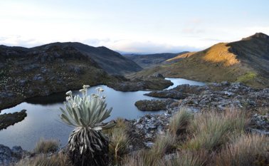 Aún quedan 28.473 hectáreas por conservarse Archivo