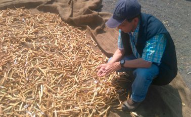 Los productores de frutas y verduras en Pamplona prefieren buscar sus propias soluciones, pues no creen en las ayudas del Estado. Roberto Ospino
