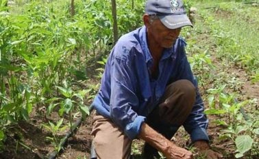 16 agricultores contarán sus experiencias agroecológicas en Alemania, Archivo