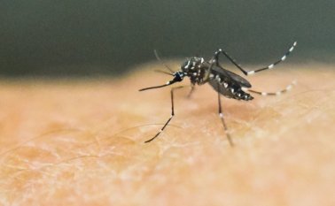 Se han registrado más de 13.000 casos del virus en Colombia, en 175 municipios. AFP