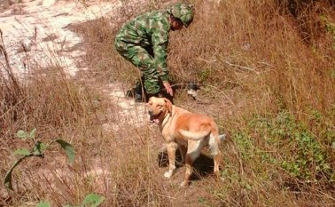 Los soldados de la Trigésima Brigada continuarán con su labor de registro y control. Ejército Nacional