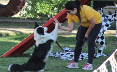 Internet | Refencial