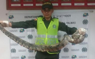 Policía Nacional