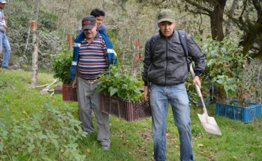 10 voluntarios del grupo Zona Verde participaron en la jornada que se desarrolló el viernes. Edinsson Figueroa