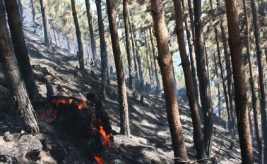 Los bomberos de Pamplona atienden incendios forestales en los cerros y no tienenlos equipos necesarios para la atención de emergencias. Roberto Ospino