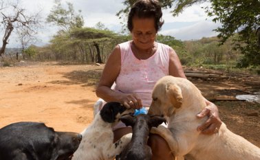 Ligia Rosa Martínez comparte su casa con ocho perros. Juan Pablo Cohen