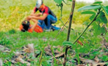 En dicho fallo, la Corte tumbó parcialmente el artículo 23 de la Ley 1719 de 2014, a fin que se entienda que las EPS deben dar la atención de manera integral y prioritaria. Colprensa