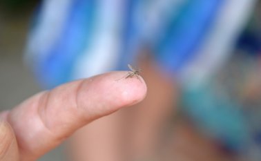 En Cúcuta se sigue analizando la relación entre el zika y el Guillian-Barré. La respuesta se daría solo al final de esta semana. Rodrigo Sandoval