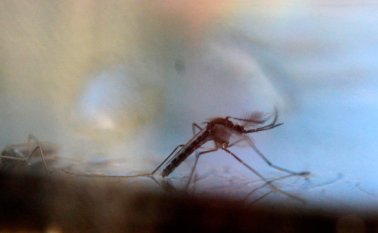 Después de Brasil, Colombia es el segundo país más afectado del mundo por este virus. AFP
