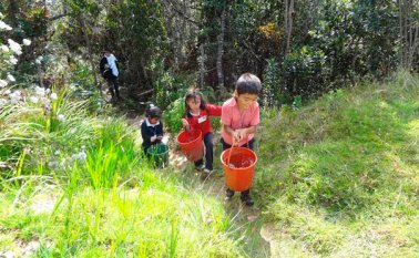 Los menores que estudian en la vereda deben hacerlo sin servicios públicos. La profesora debe recurrir a jornadas fuera de los salones para que los niños no se queden sin clases. Cortesía