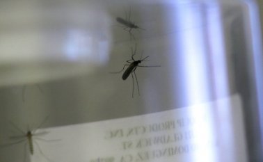 Maduro detalló que los 68 pacientes con complicaciones "han estado en cuidados intensivos". AP