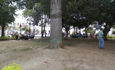 Lass zonas verdes desaparecieron del parque 29 de Mayo, como consecuencia de la sequía y de la falta de riego. Javier Saravia