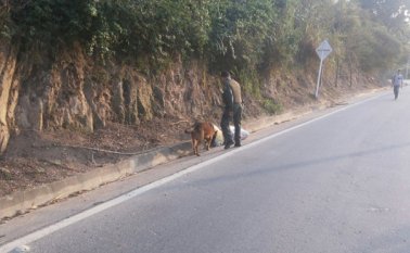 Una alerta por explosivos se presenta en un sector de la vía Sardinata - Cúcuta. Suministrada