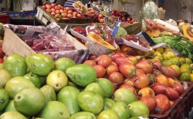 La actividad está con el apoyo de la Gobernación de Norte de Santander. Archivo