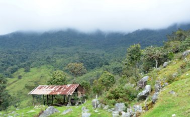 La adquisición de ciertas áreas es fundamental para mitigar los efectos del cambio climático. Archivo