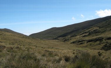 El objetivo de la alianza es conservar el páramo de Santurbán, aunque no se descarta la protección de otras cuencas. Archivo