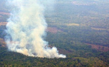 Aunque desde el 9 de marzo se han hecho presentes la comunidad Barí, Fuerza de tarea Vulcano y funcionarios de Parques Nacionales, el incendio no ha dado tregua. Edinsson Figueroa