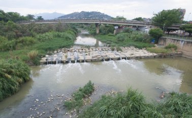 LA MALEZA invadió el cauce del río. Al fondo el puente Francisco de Paula Andrade Troconis.  Juan Pablo Bayona