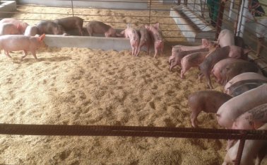 Un nuevo ciclo está por iniciar, para que las futuras productoras no pierdan la fe. Cortesía