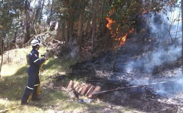 El pasado viernes se registró un incendio en el sector Jurado. Se consumió una hectárea y de acuerdo con los organismos de socorro, fue provocado. Roberto Ospino